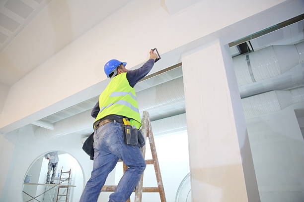 Best Commercial Painting  in Lemont, IL